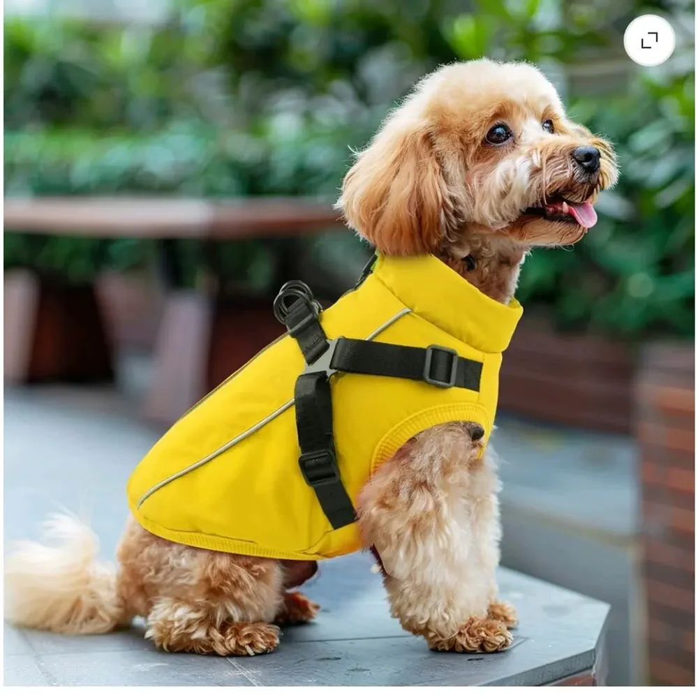 PcEoTllar brand, warm coat XL tag is actually tailored for small to medium dogs